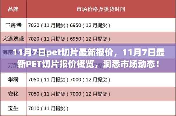 11月7日PET切片最新报价概览,洞悉市场动态