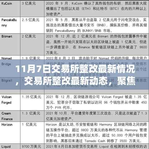 聚焦交易所整改最新动态,11月7日更新情况深度解析