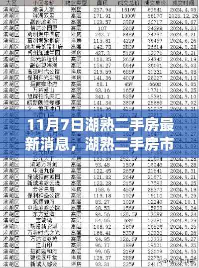 湖熟二手房市场最新动态解析,11月7日深度解读市场脉动