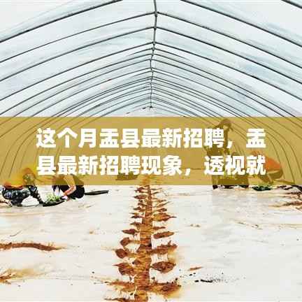 盂县最新招聘现象观察,就业市场的机遇与挑战透视