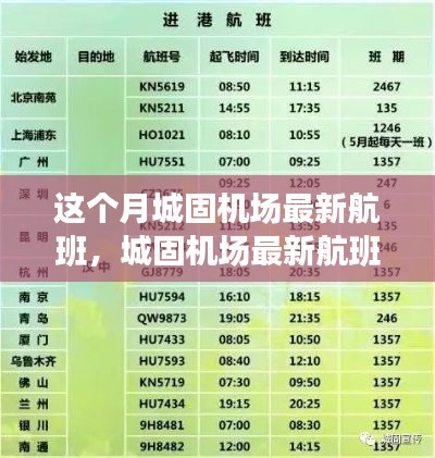 城固机场最新航班详解,特性、体验、竞品对比及用户群体分析评测报告