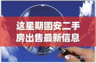 掌握未来从固安二手房出发,最新出售信息,变化中的学习与自信魔力探索