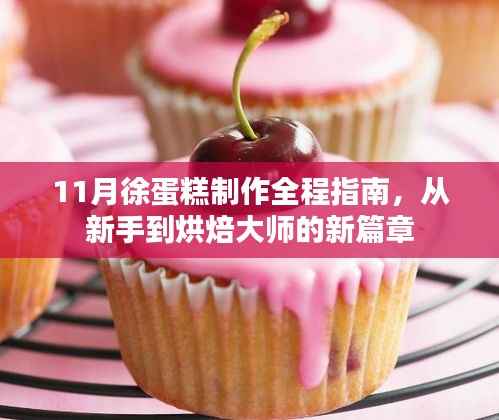 11月徐蛋糕制作全程指南,从新手到烘焙大师的新篇章