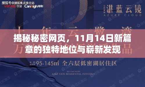 揭秘秘密网页,11月14日新篇章的独特地位与崭新发现