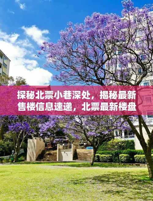 全神贯注 第6页