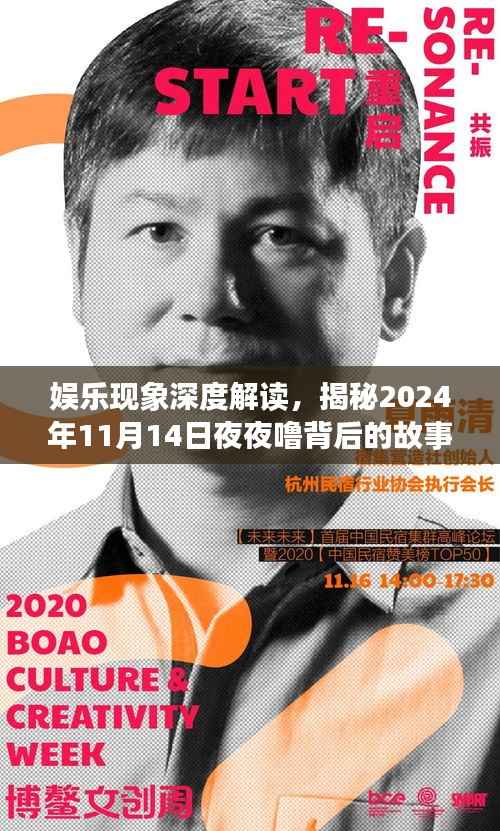 娱乐现象深度解读,揭秘2024年11月14日夜夜噜背后的故事
