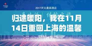 归途暖阳，我在11月14日重回上海的温馨之旅