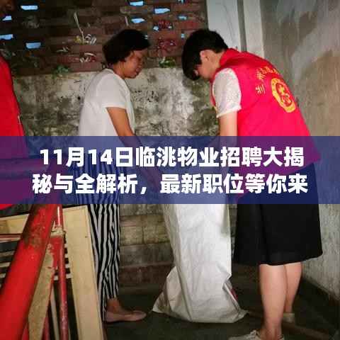 11月14日临洮物业招聘大揭秘与全解析,最新职位等你来抢!