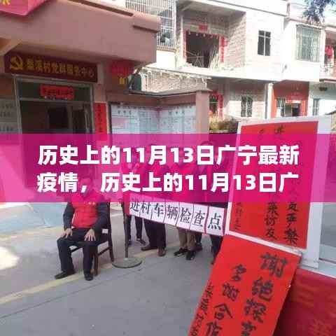 历史上的11月13日广宁疫情深度解析与最新观点洞察