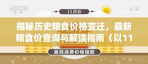 揭秘历史粮食价格变迁，最新粮食价查询与解读指南（以11月15日为例）