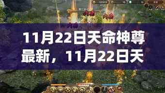 天命神尊日常奇遇,友谊与爱之力的温暖