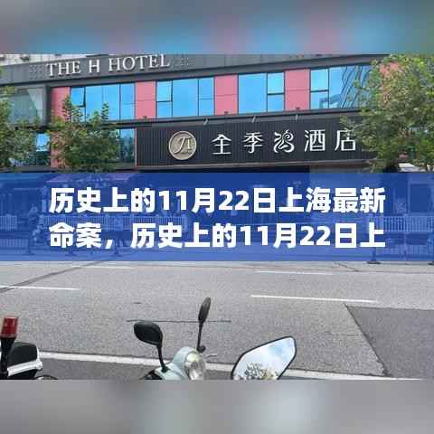 上海历史上的11月22日命案深度解析与观点探讨