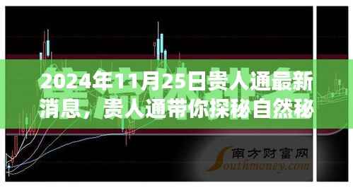 贵人通揭秘自然秘境,2024年全新旅行启示录,带你探寻未知之旅