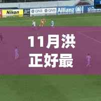 洪正好11月最新动态,三大要点悉数呈现