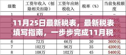 最新税表填写指南,一步步完成11月税表填报,适合初学者与进阶用户