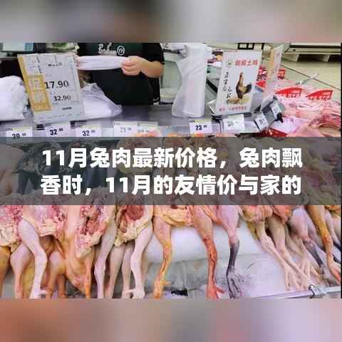 11月兔肉价格概览,友情价与家的温馨中的兔肉飘香时