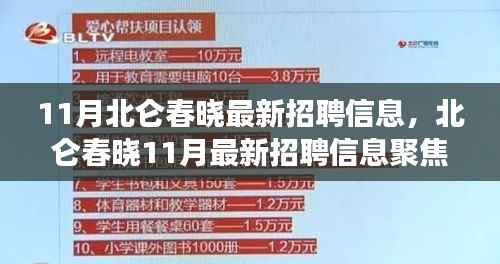 北仑春晓11月最新招聘信息大解析,职业发展三大要点解读