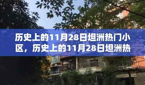 历史上的11月28日坦洲热门小区深度解析与介绍