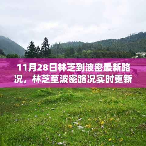 栖鸟于泉 第5页