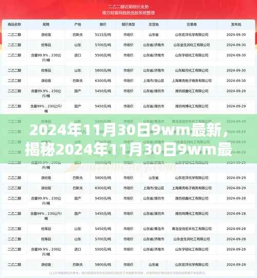 揭秘,2024年11月30日最新动态揭秘,小红书引领未来趋势探索