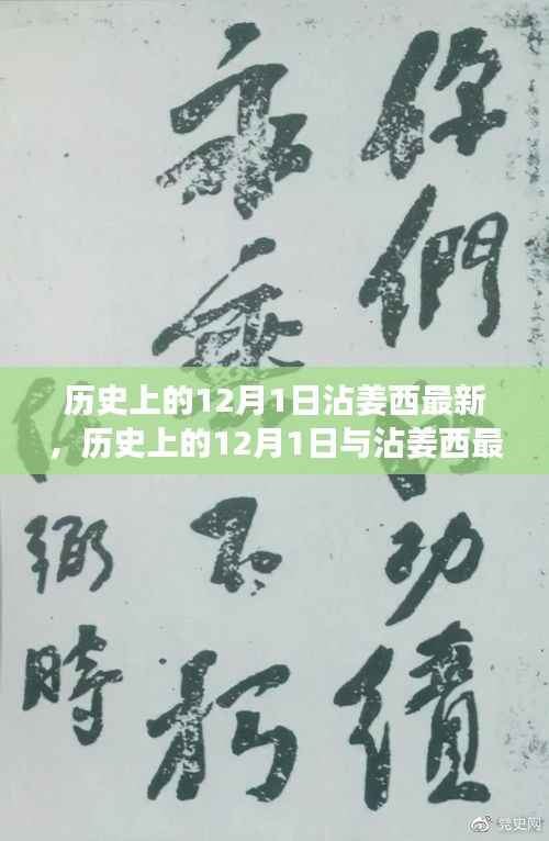 深度解析沾姜西最新事件,历史上的12月1日与今日回顾与观点阐述