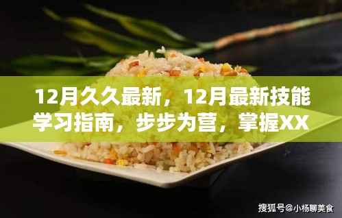 掌握XX技能,12月最新技能学习指南,步步为营助你技能进阶