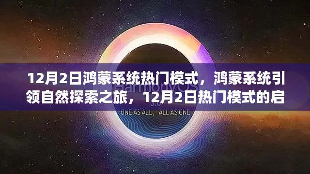 鸿蒙系统引领自然探索之旅,12月2日热门模式的启示