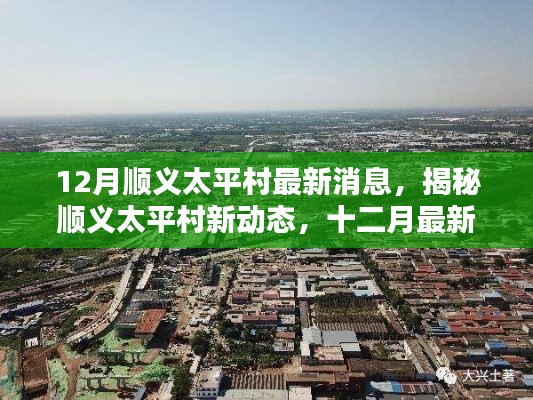顺义太平村十二月最新动态全解析,揭秘最新消息🍂