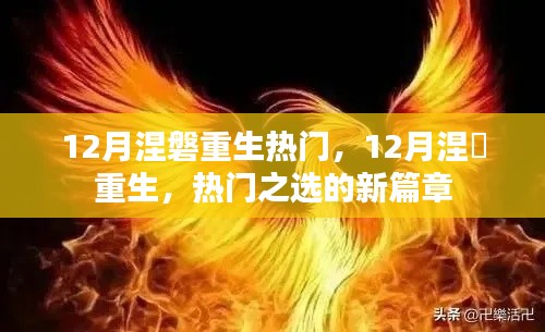 12月涅槃重生热门之选,新篇章开启