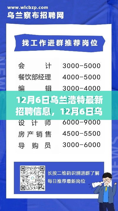 12月6日乌兰浩特最新招聘信息,技能成就职场辉煌