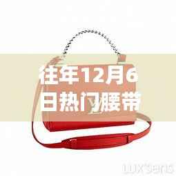 郑重其事 第4页