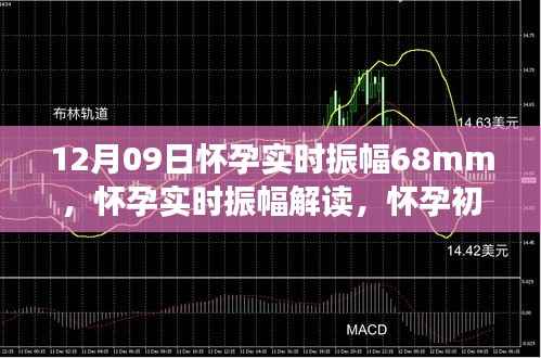 怀孕实时振幅解读,胎儿发育进展的关键指标(以怀孕初期振幅68mm为例)