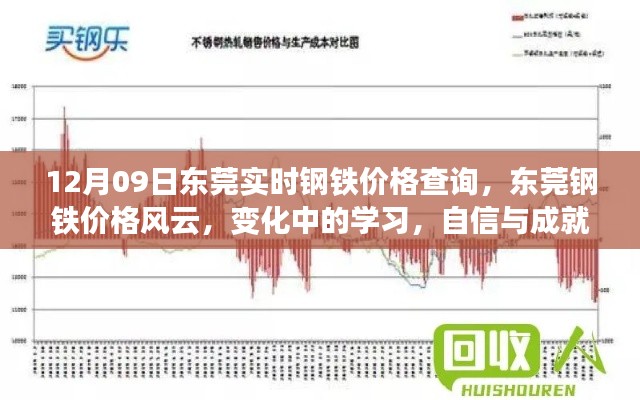 东莞钢铁价格风云，实时查询，洞悉变化，成就自信与成功之路