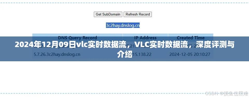VLC实时数据流深度评测与介绍,2024年12月09日实时数据流解析