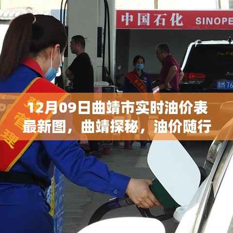 曲靖市最新实时油价表,油价随行,探秘之旅不受限