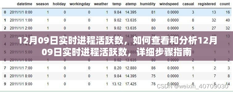 12月09日实时进程活跃数详解,查看与分析步骤指南