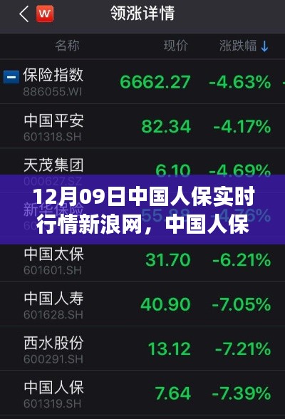 中国人保新浪网实时行情解析，深度洞察特殊日的股市动态