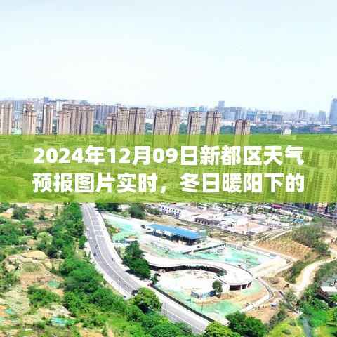冬日暖阳下的新都奇遇，天气预报引发的友情之旅（附实时天气预报图片）