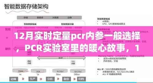 12月PCR实验室内参选择与暖心故事,内参选择的奇妙之旅