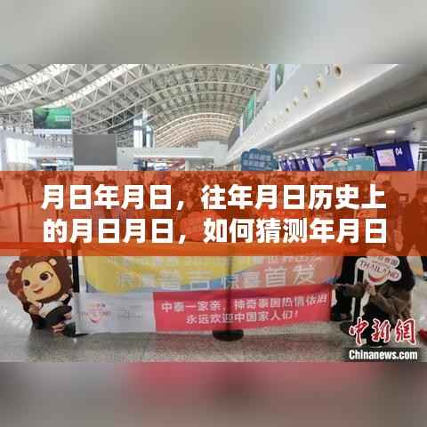 烟草实时报价表查询,历史数据与最新预测