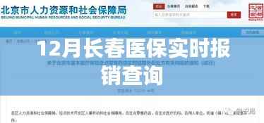长春医保实时报销查询指南