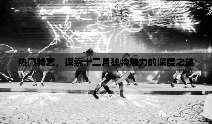 十二月独特魅力深度游,热门特艺之旅