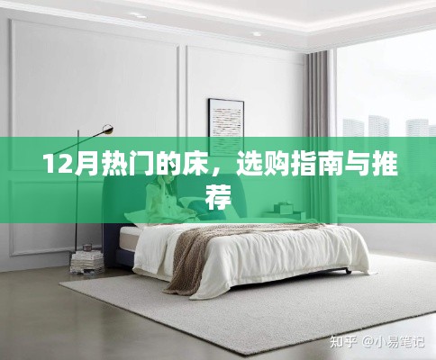 冬季热门床品选购指南与推荐