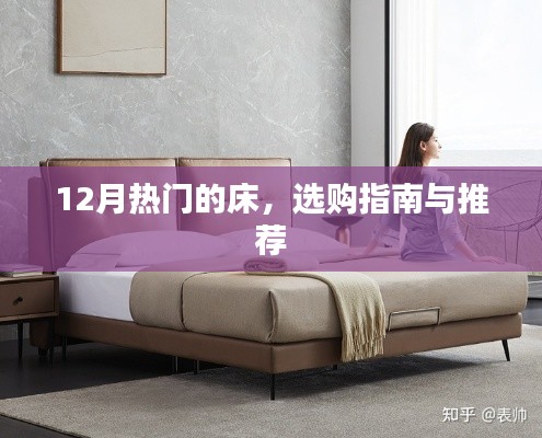 冬季热门床品选购指南与推荐