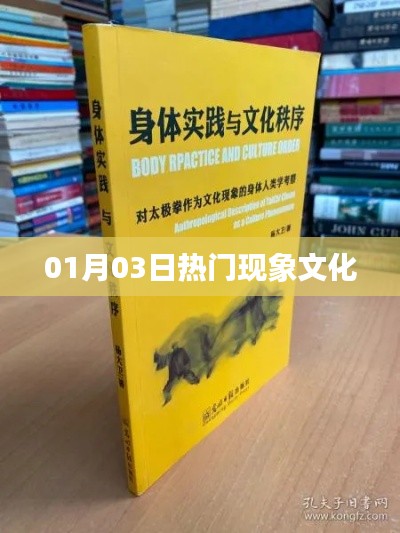 热门现象文化，聚焦01月03日动态