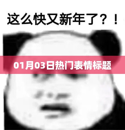 精选表情大赏,最新热门表情标题揭晓