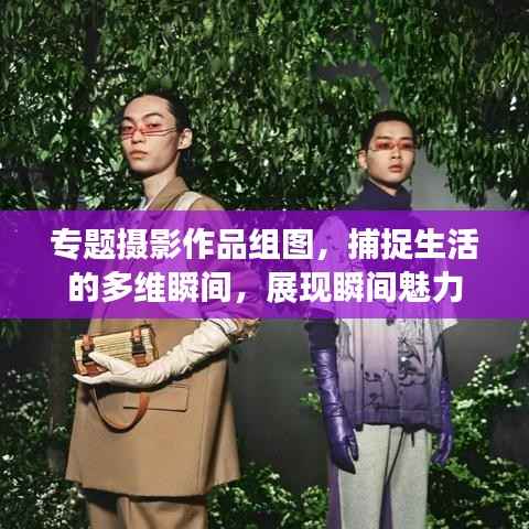 专题摄影作品组图,捕捉生活的多维瞬间,展现瞬间魅力