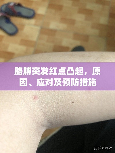 胳膊突发红点凸起,原因、应对及预防措施