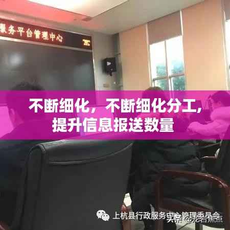 不断细化,不断细化分工,提升信息报送数量