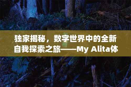 独家揭秘,数字世界中的全新自我探索之旅——My Alita体验之旅